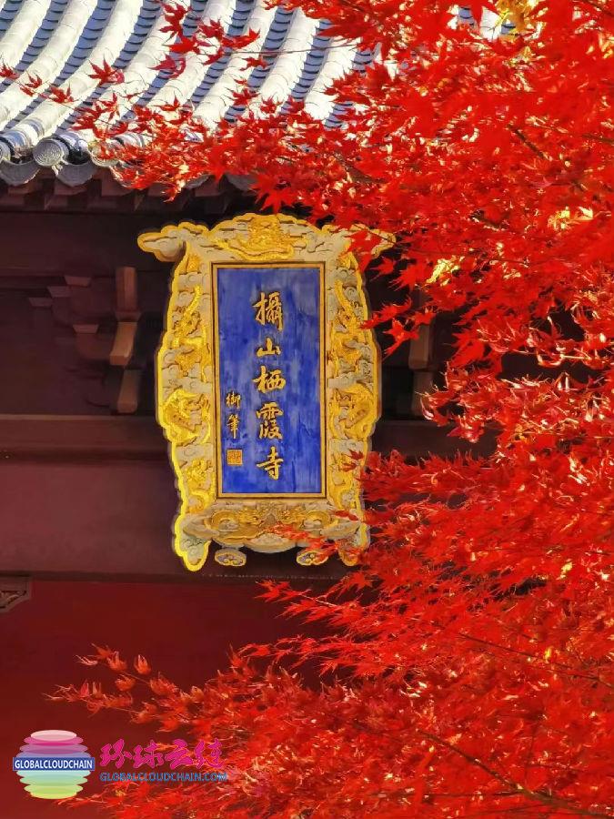 4-微信图片_202502281653531.jpg